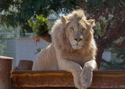 Pafos Zoo